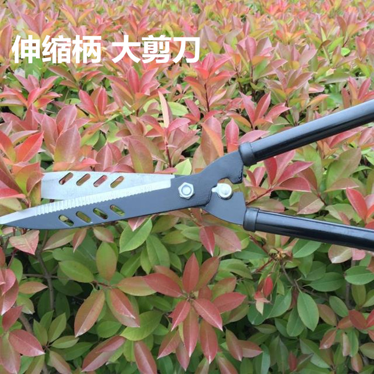 园艺工具大花剪修枝大剪刀修剪花木果树枝草坪绿篱剪刀园林剪包邮