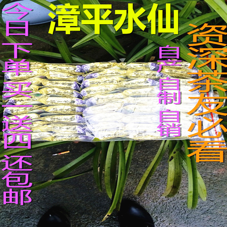 【买一送四】漳平水仙茶叶水仙茶茶饼特级乌龙茶清香型秋茶500克