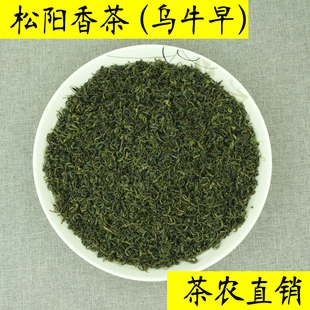 松阳香茶 云雾绿茶 雨前高山 日照充足茶叶散装 500g