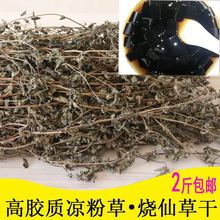 包邮 中药材福建农家自产仙草干仙人草烧仙草黑凉粉龟苓膏原料2斤