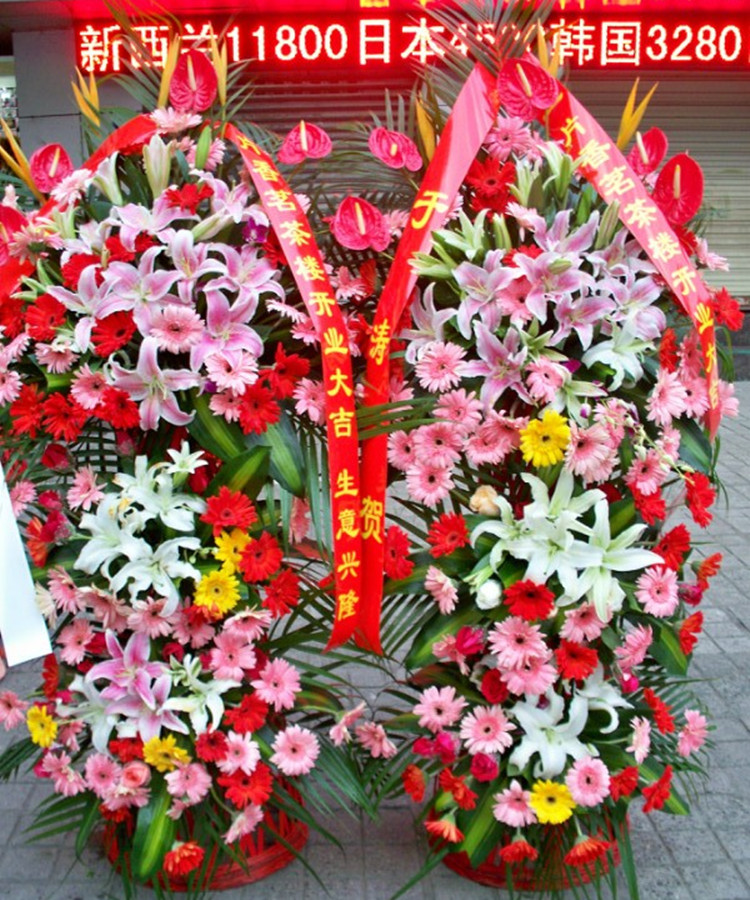 正品[大港油田租房信息]大港油田租房信息网评