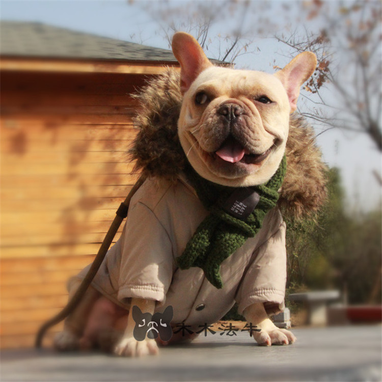 法斗衣服法牛斗牛犬英斗英牛巴哥柯基田园犬恶霸胖狗冬款戴帽棉服