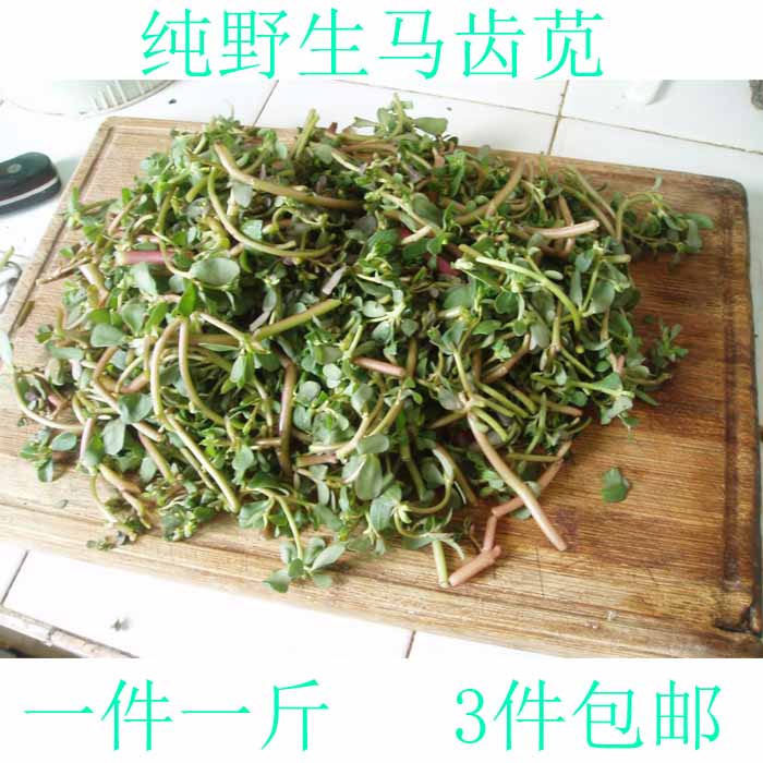 马齿苋 新鲜野生 马齿笕长寿菜马齿菜马蜂菜五行草蚂蚱菜500g