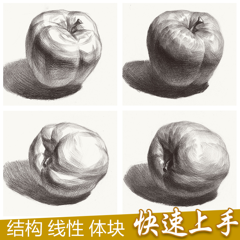 典全集 素描静物②组合铅笔美术绘画书籍2017临摹范本陈顶技法