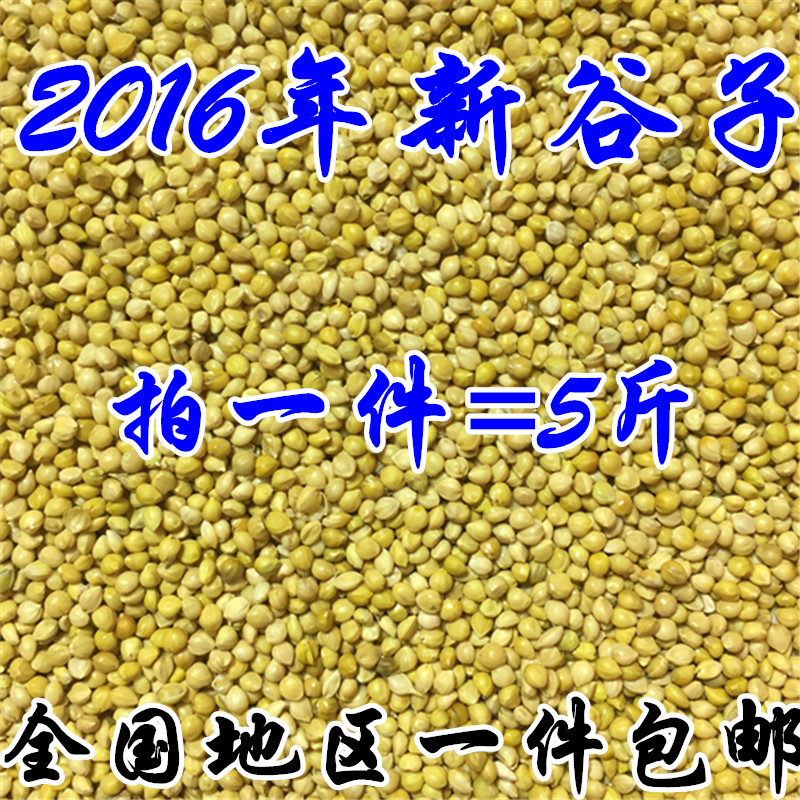 带壳小米/虎皮牡丹玄凤/文鸟/鹦鹉鸟食黄谷子/鸟粮鸟饲料1件包邮