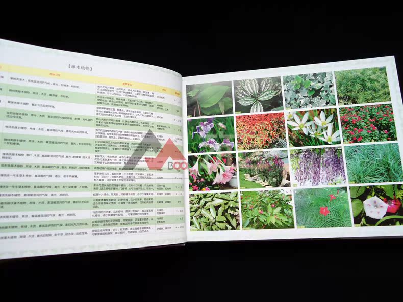 植物配置分析,景观植物配置,植物配置方式_文秘苑图库