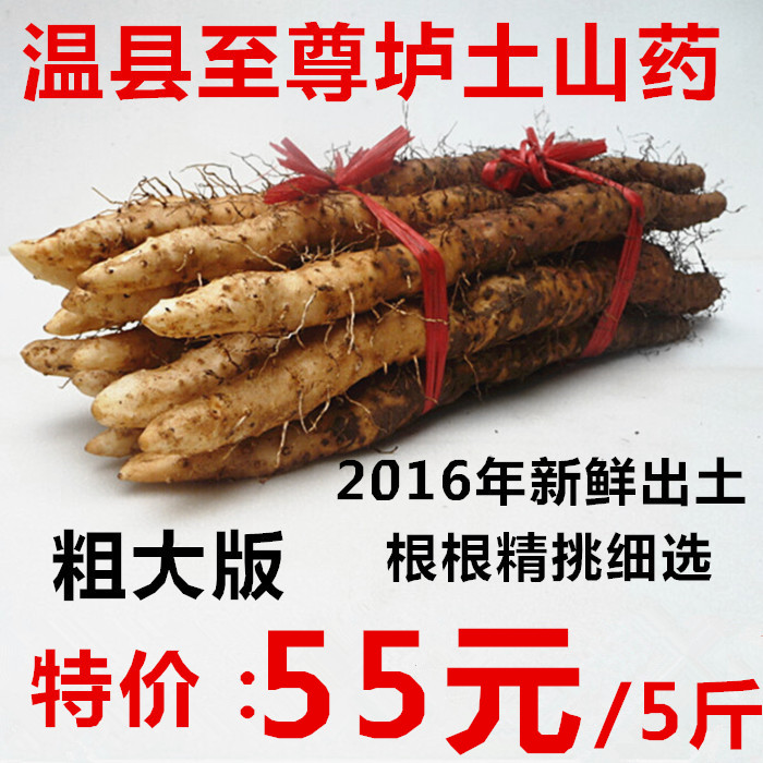 河南焦作温县铁棍山药  正宗温县垆土山药 怀淮山药 新鲜粗大包邮