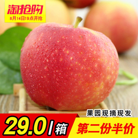 [第二年车险计算器]评价 2016年新车险计算器怎