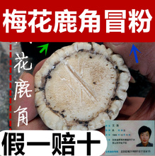 包邮 纯正 森特角帽粉梅花鹿鹿角粉鹿托盘粉下奶疏通乳腺堵奶