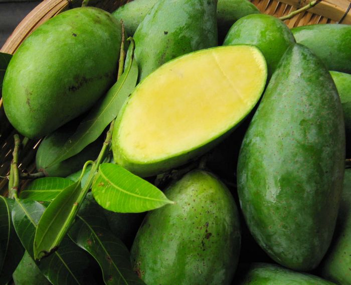 推荐最新青芒果童装 青芒果童装折扣信息资料