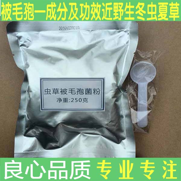 被毛孢虫草菌粉蝙蝠蛾被毛孢菌丝体冬虫夏草菌丝粉250克 百令原料