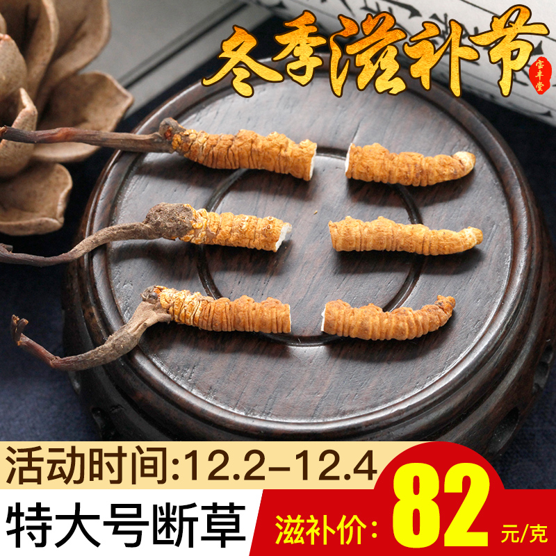 【冬季滋补节  82元 特大号 】西藏那曲冬虫夏草特大号断草 正