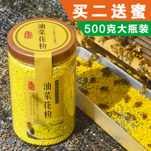 500克 包邮 美容破壁食用青海蜜蜂花粉女人 纯油菜花粉纯正天然正品