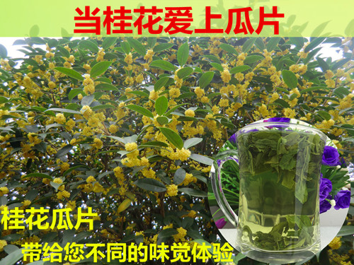 六安瓜片2016新茶 绿茶  桂花瓜片 桂花茶 手工茶 茶农直销500g