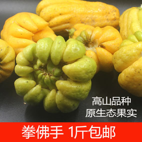 新鲜佛手果冰糖炖佛手老香橼酵素原料佛手柑绿果黄果买1斤包邮