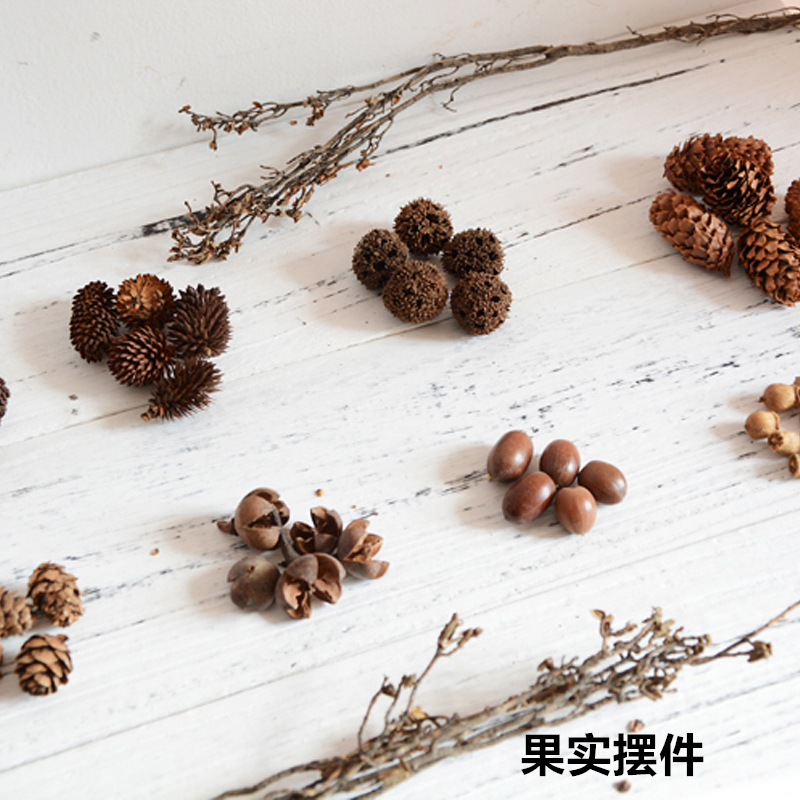 天然干花真果实干果松果鱼鳞果橡果家居客厅装饰桌面摆件拍摄道具