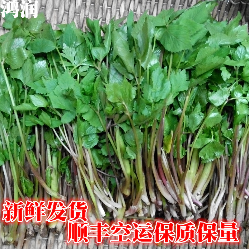 查看淘宝东北长白山新鲜野生山野菜大叶芹山芹菜天然绿色250克4份包邮