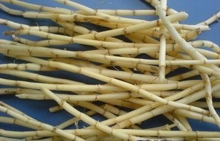野生茅草根 白茅根 干茅草根 清热降压 凉血 泡茶佳品