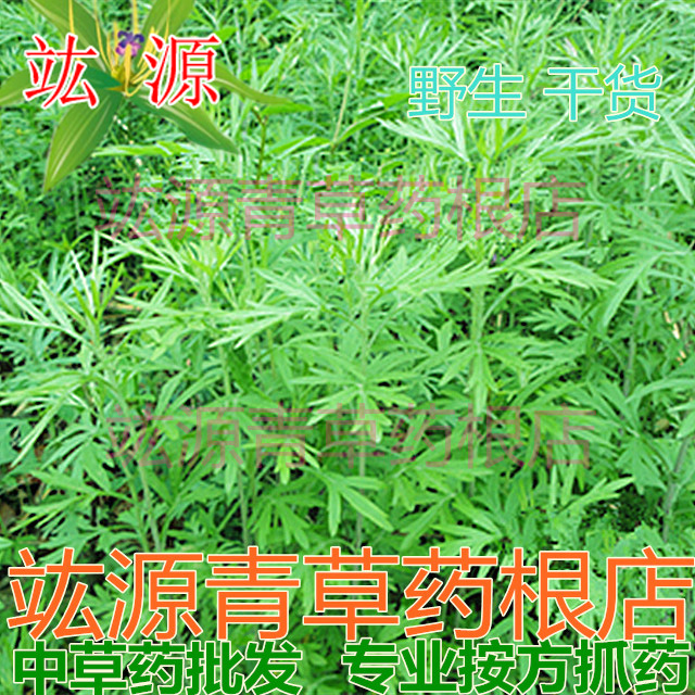 竑源青草药根店 野生 艾草 艾叶草 艾叶 五月艾 泡脚 泡澡 干货