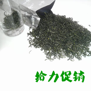 绿茶 日照绿茶 2016新茶叶 春茶 自产自销  雪青特价包邮100元/斤