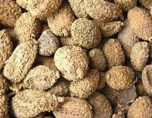 砂仁500g 中药材香料 沙仁 进口春砂仁 卤料调料正己干货特价批发