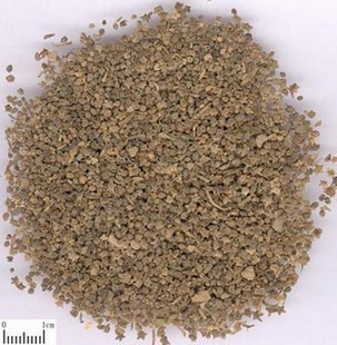 中药材 地肤子  中药材草药 500克