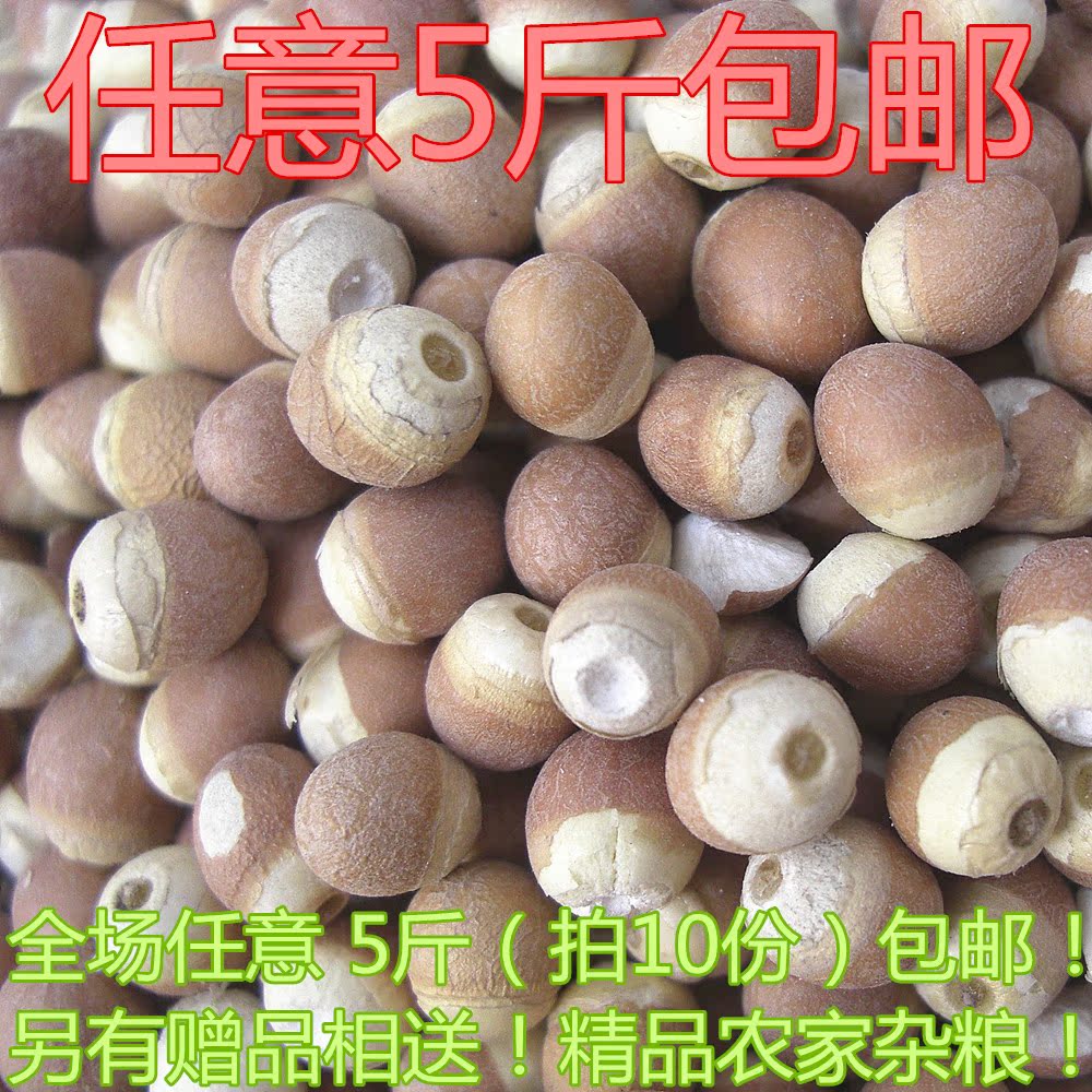 5斤包邮大粒整芡实微山湖野生鸡头米 无臭 带皮芡实250g