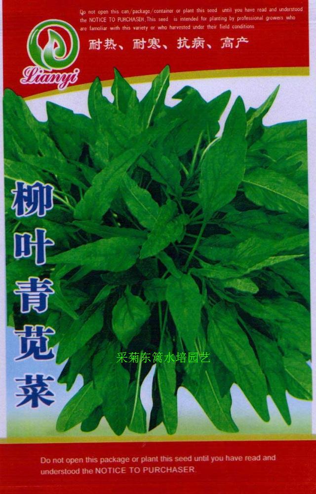 苋菜种子/柳叶青苋菜-补血蔬菜/无土栽培阳台蔬菜种子-家庭菜园