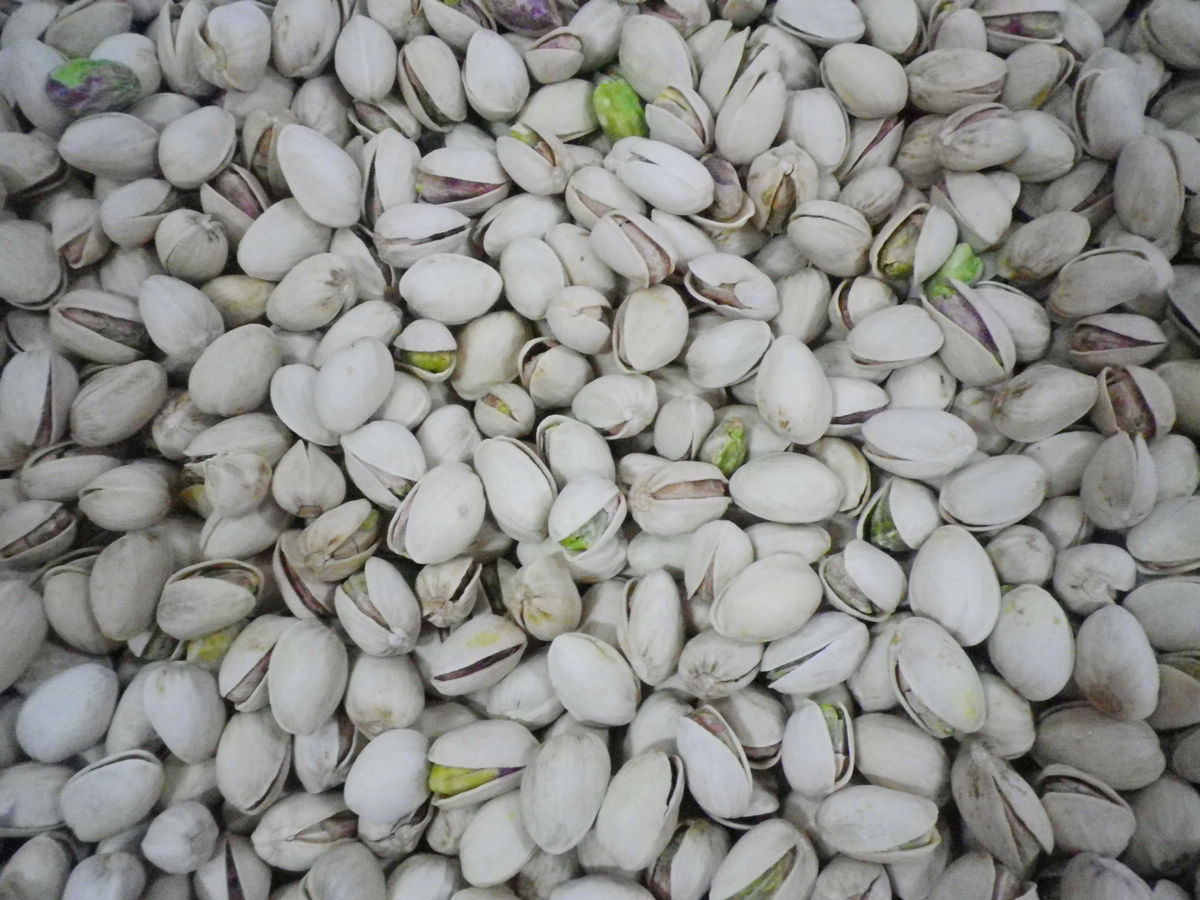 正品[开心文学网 弄潮]小说5200弄潮文学馆评测