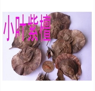 印度进口林木种子 小叶紫檀木种子 檀香紫檀树种子