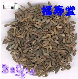 中药材牛蒡子 大力子 牛子根 牛蒡子粉批发 可免费打粉哦 包邮