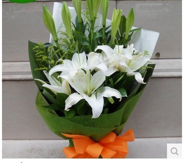 正品[杨浦区国定路400号]杨浦区国定路邮编评