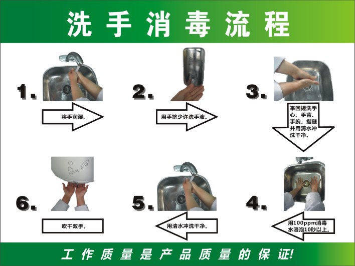 标准洗手消毒流程图 海报挂图 正确六步洗手方法 墙贴