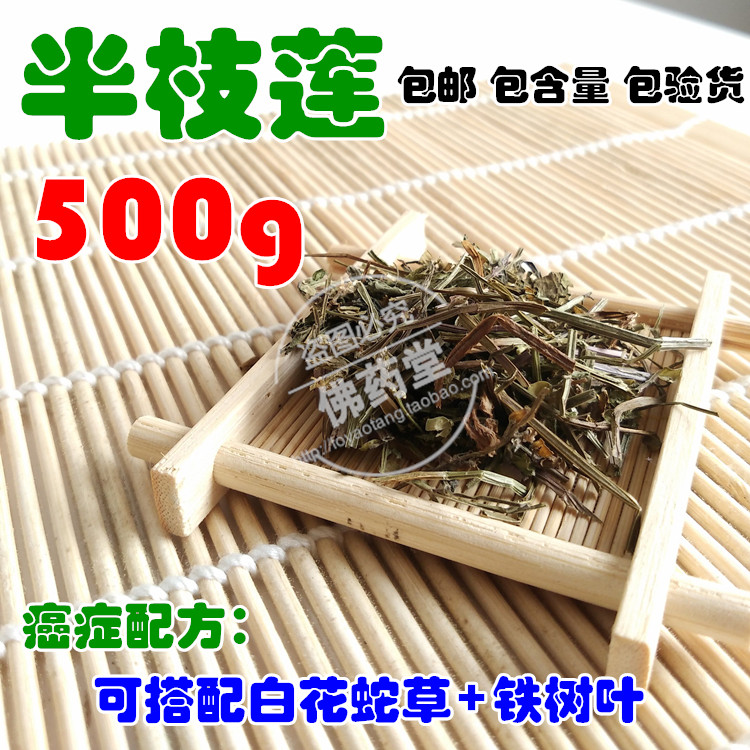 中药材 半枝莲 白花蛇舌草 半枝莲 新鲜 500g 铁树叶包邮