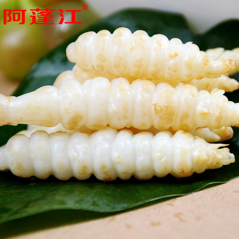 贵州特产务川草石蚕2100g礼盒装大虫草原生态宝塔菜甘露子地牯牛