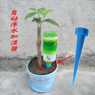 绿植洒水花盆浇花壶园艺器家用加湿降温滴灌自动浇花渗水器