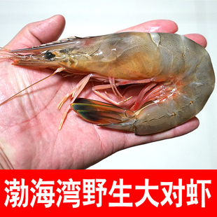 对虾 德盛利 当地大对虾 渤海湾野生大虾 鲜活速冻 年货礼品 海鲜水产