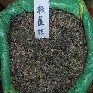 花卉种子 中草药种子 板蓝根种子 靛青根种子 蓝靛根 大青叶种子