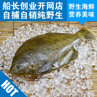 新鲜比目鱼大连海鲜特产鱼类两条装 东山岛冰冻偏口鱼500g