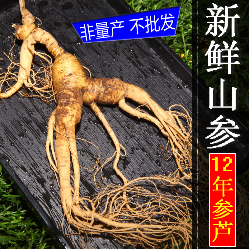 东北特产人参长白山新鲜带土12年野山参移山滋补品泡酒4支礼盒装
