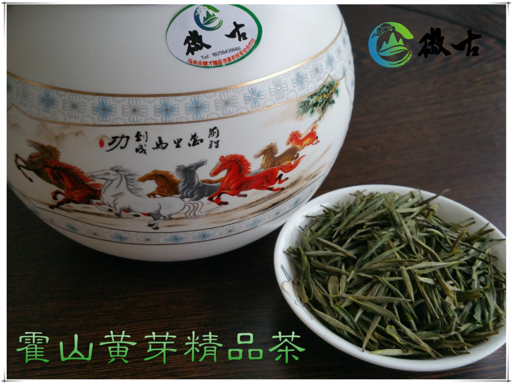 霍山黄芽精品贡茶瓷瓶礼盒 2016新茶 徽古茶业 有机茶 绿色饮品