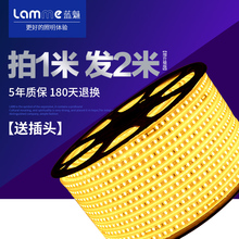 客厅吊顶灯槽七彩变色RGB霓虹灯条220v户外防水线灯 蓝魅LED灯带