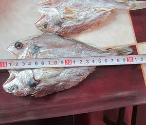 【鱼类海鲜干货图片】鱼类海鲜干货图片大全