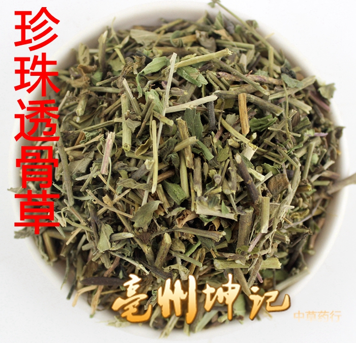 珍珠透骨草 中药材 透骨草 吉盖草 枸皮草 地构叶 50克 抓药