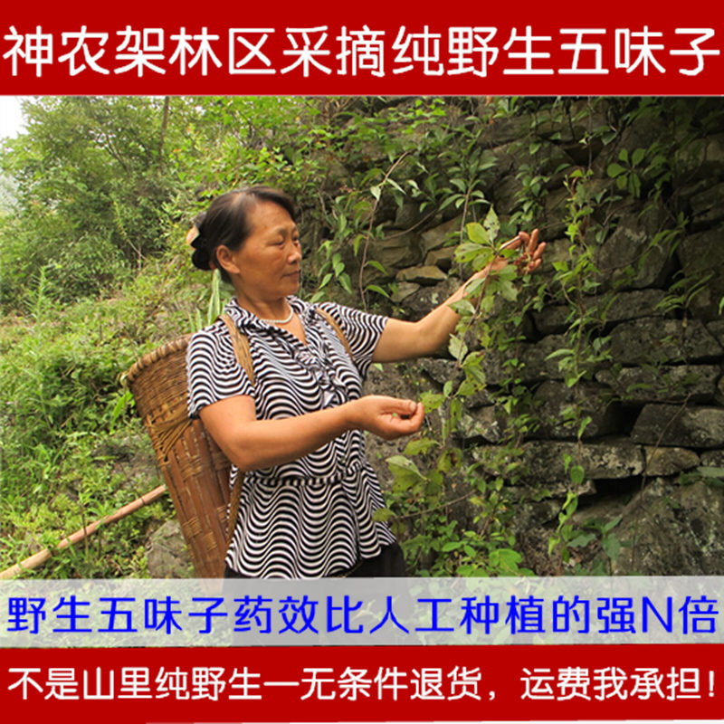 神农架纯野生五味子茶中药材可打粉特级油籽非东北长白山北五味子