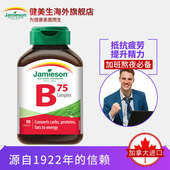 b12熬夜应酬必备含Vb75 90粒 jamieson健美生复合维生素b族