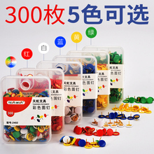 300枚 包邮 圆头创意按钉软木板钉子 可选色装 图钉画 天文彩色图钉