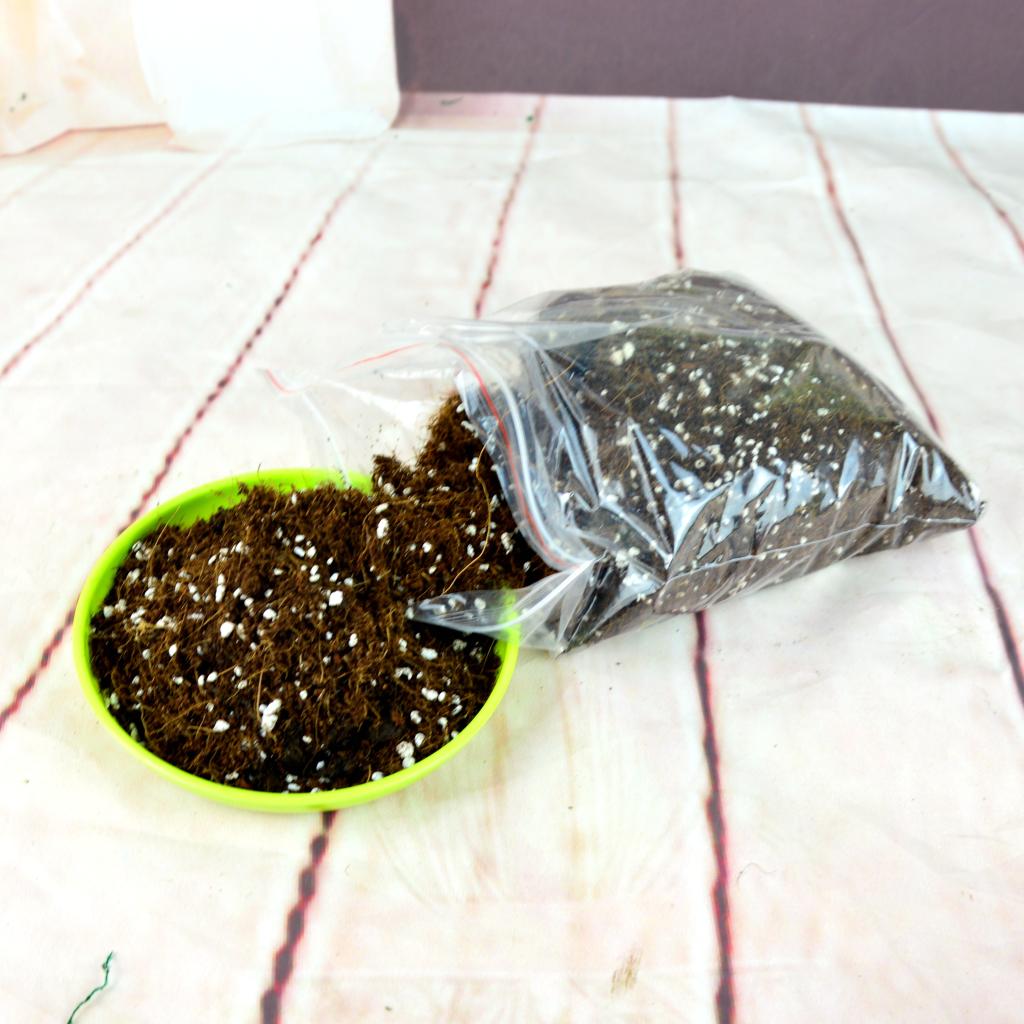 正品[多肉植物营养土]多肉植物专用营养土评测