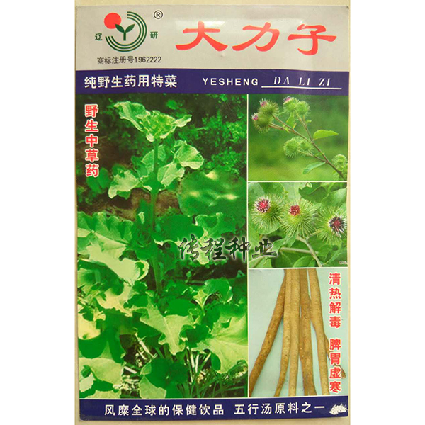 大力子 牛蒡子种子 野生特菜 养心养性降血压 五行汤原料 春夏季