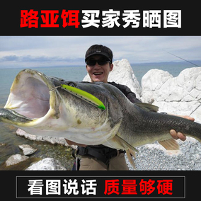 正品[软饵套装]路亚软饵挂法评测 路亚软饵钓鱼视频图片_惠惠购物